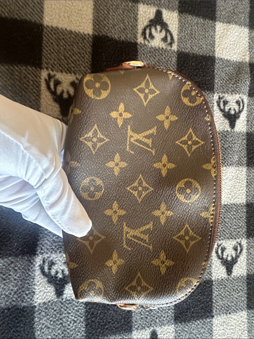 Louis Vuitton Monogram Canvas Toiletry Pouch in Brown and Gold